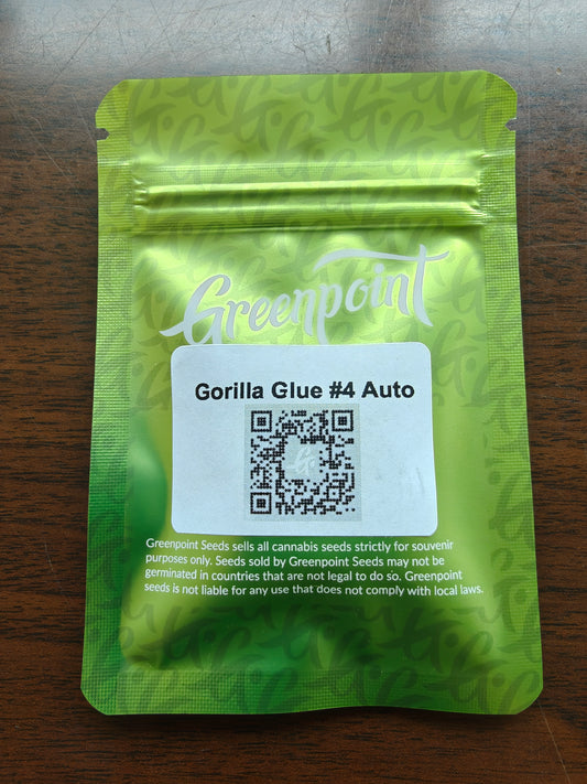 Gorilla Glue #4 Auto - Sealed Pack