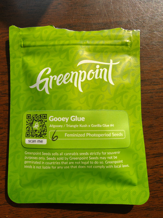Gooey Glue - Open Pack