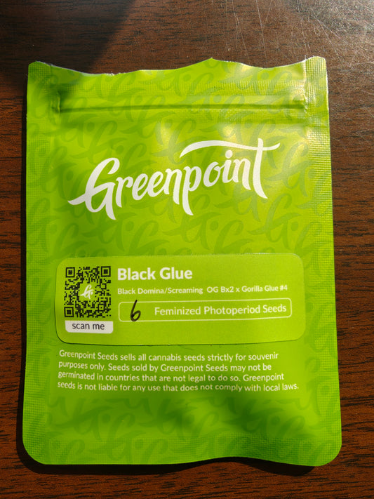 Black Glue - Open Pack